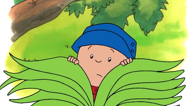 S01:E11 - Caillou's Big Kick // Caillou the Jungle Explorer // the Caillou Show // Caillou Loves Halloween // Caillou's Picnic