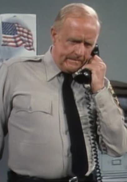 S01:E38 - The Jailbird poster
