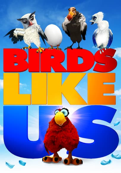 Birds Like Us