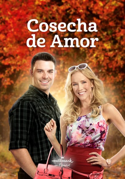 Cosecha de amor (Doblado)