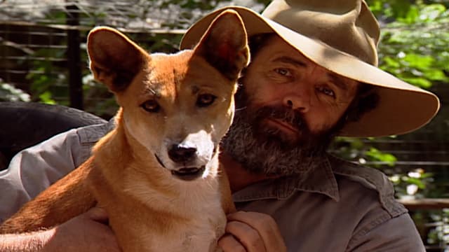 S01:E08 - Dingoes