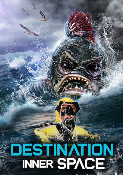 Destination Inner Space poster