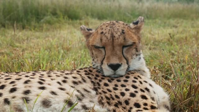 S01:E05 - Movimiento