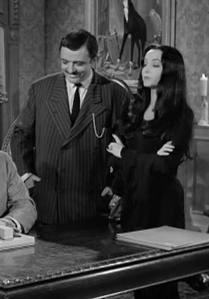 S01:E32 - Cousin Itt and the Vocational Counselor poster