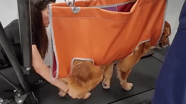 S01:E01 - A Rescue's Journey