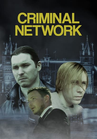 Criminal Network