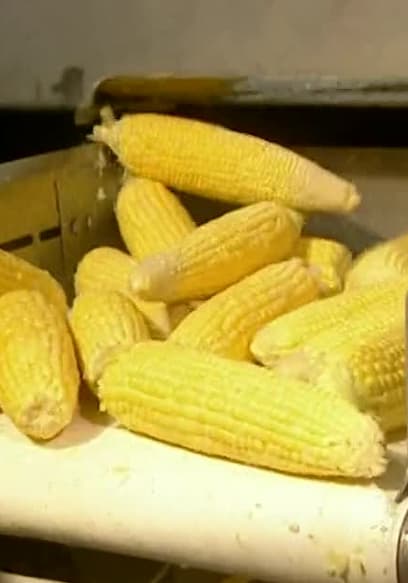 S01:E10 - Holograms and Canned Corn poster
