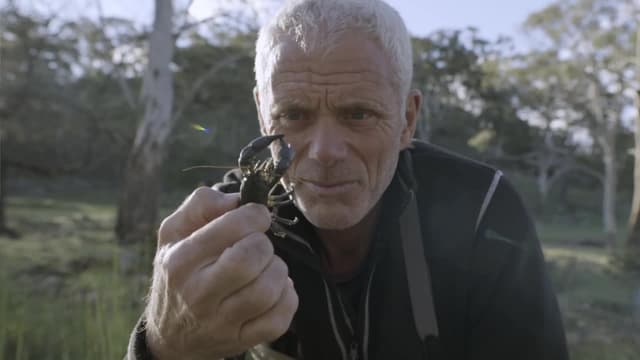 S01:E07 - Jurassic River Beast