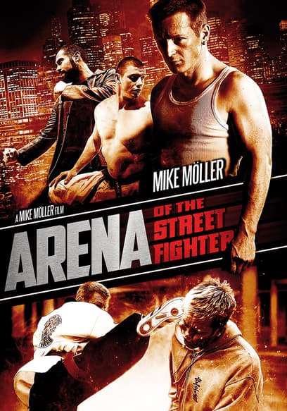Arena of the Street Fighter
