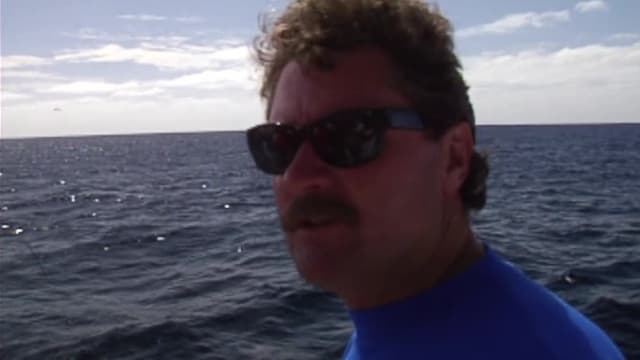 S03:E23 - Hammering Yellows and Dorado at Guadalupe Island: Part 2