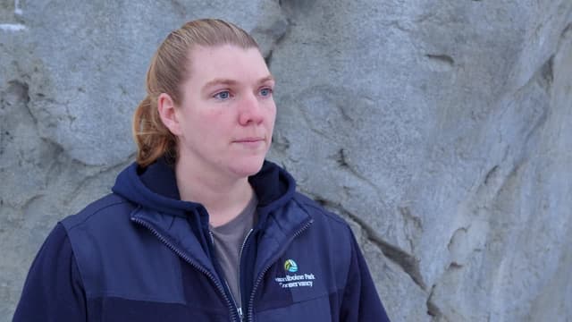 S02:E01 - Polar Bear Rush Hour