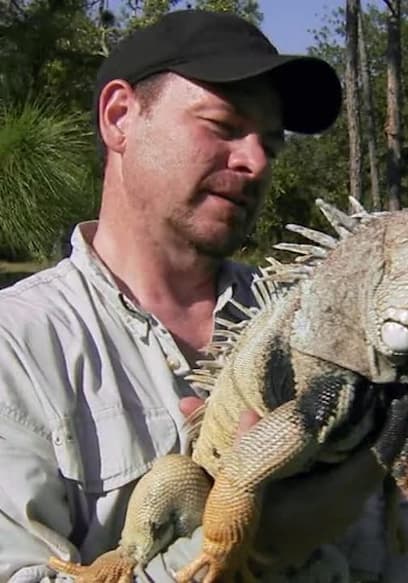 Watch Python Hunters S02:E01 - Snake Invasion - Free TV Shows | Tubi
