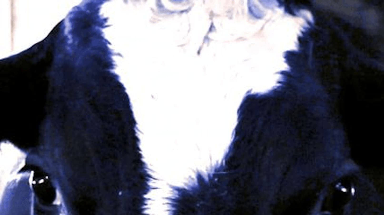 poster background