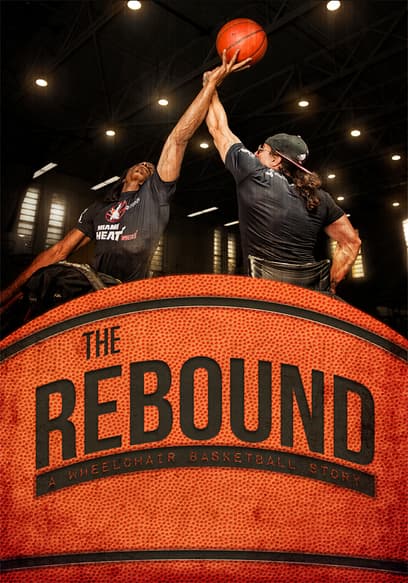 The Rebound