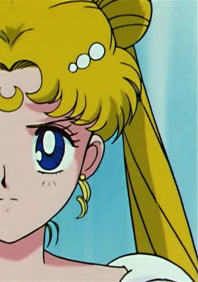 S01:E46 - Usagi’s Eternal Wish: a Brand New Life poster