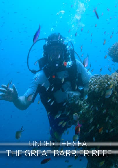 Under the Sea: The Great Barrier Reef