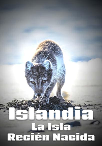 Islandia La Isla Recién Nacida