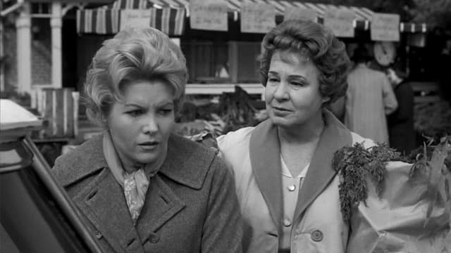 S01:E13 - Dorothy's Obsession