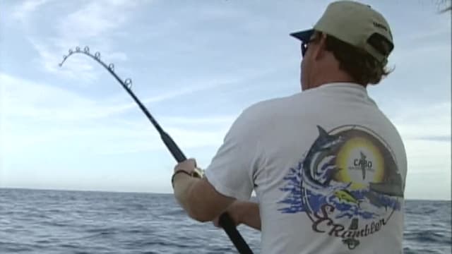 S01:E03 - Marlin Mission to Magdalena Bay: Part 2