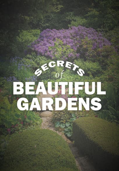 Secrets of Beautiful Gardens