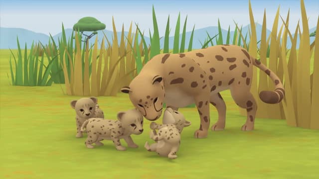 S01:E52 - South African Cheetah