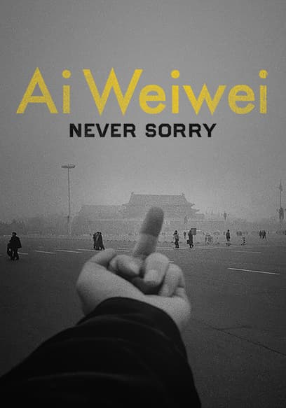 Ai Weiwei: Never Sorry