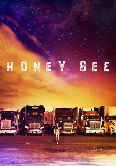 Honey Bee