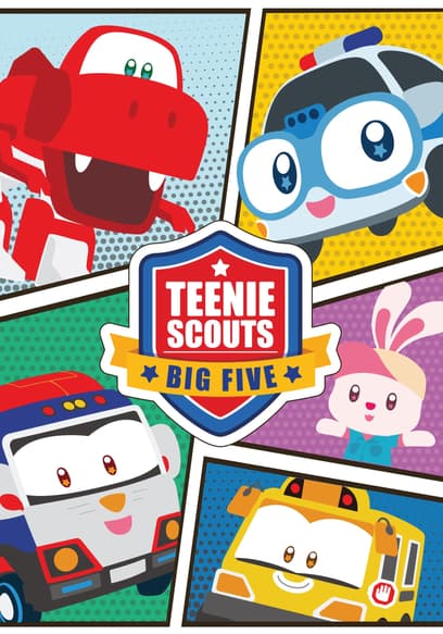 Teenie Scouts Big Five