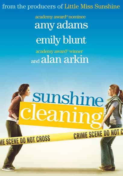 Sunshine Cleaning