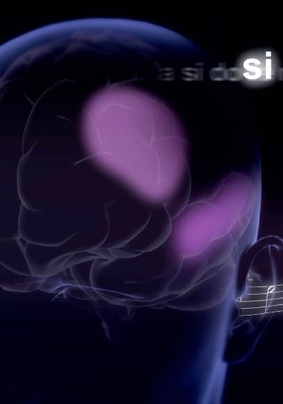S01:E05 - Inside the Brain of a Virtuoso poster