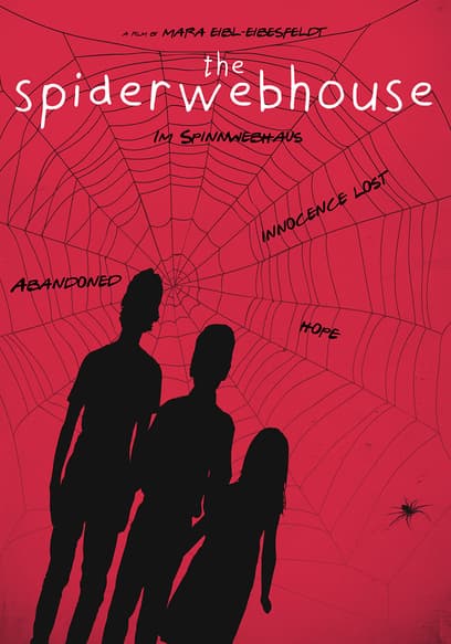 Spiderwebhouse