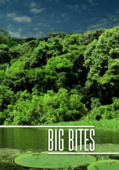 S01:E16 - Big Bites (Pt. 2) poster