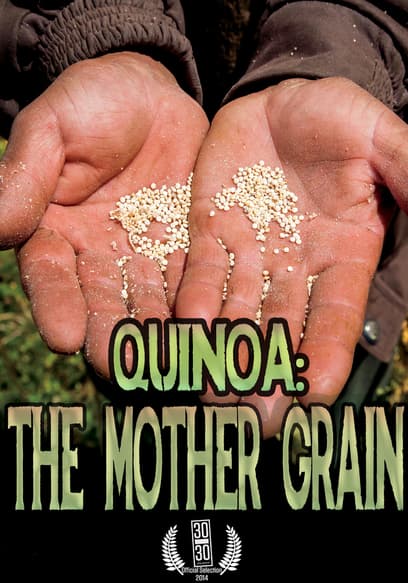 Quinoa: The Mother Grain