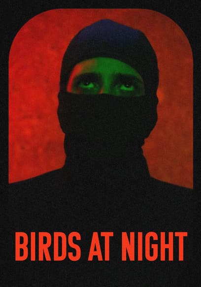 Birds at Night