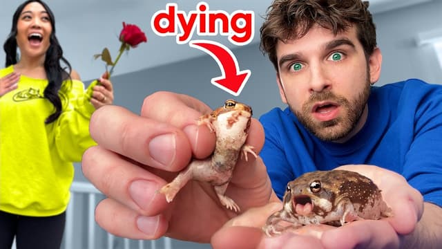 S01:E14 - Valentine's Day Frog Surprise