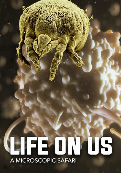 Life on Us: A Microscopic Safari