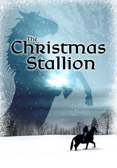 The Christmas Stallion