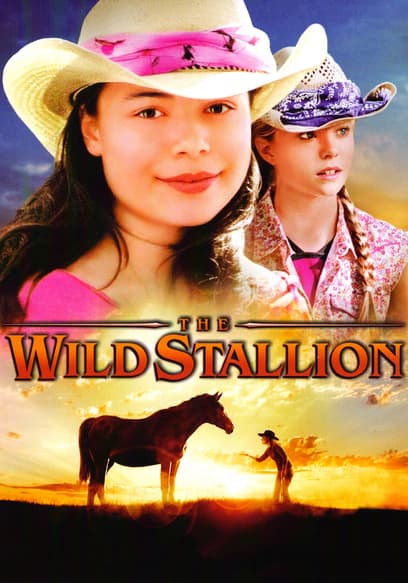 The Wild Stallion