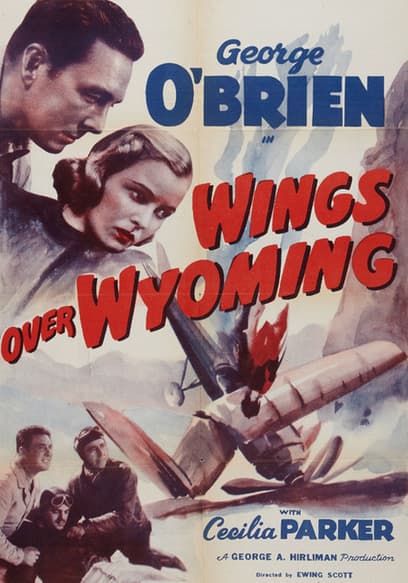 Wings Over Wyoming