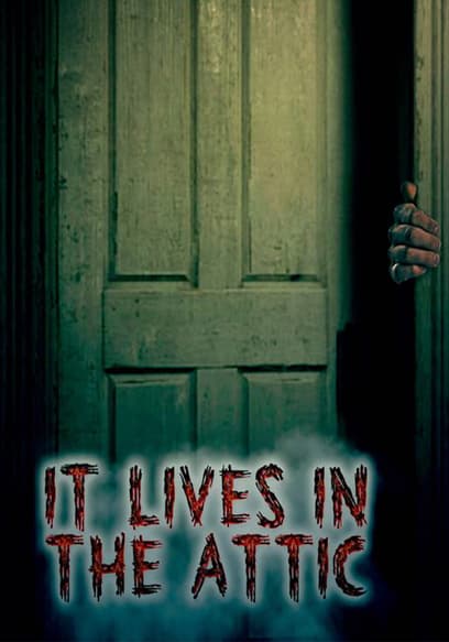 It Lives in the Attic