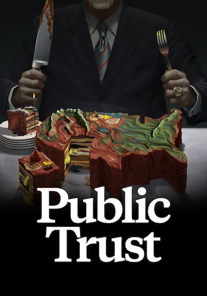 Public Trust