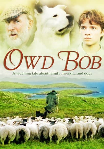 Owd Bob