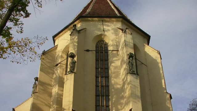 S01:E03 - Madagascar Rainforest and Ambohimanga