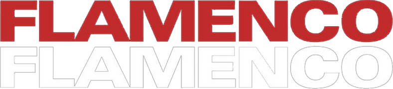 Flamenco, Flamenco