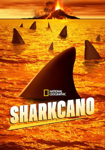 Sharkcano