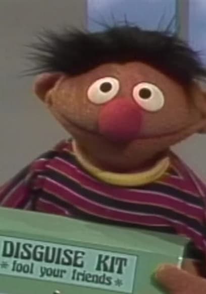 S27:E39 - Big Bird Has Birdy Pox poster