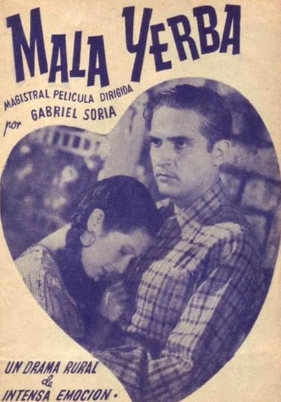 Mala Yerba