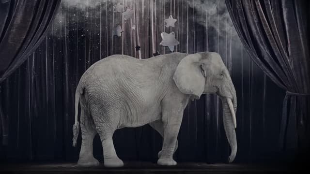 S03:E06 - The Suspicious Death of Harry Houdini