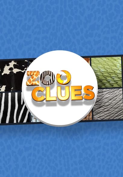 S03:E21 - Animals With Stripes