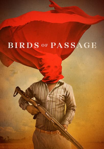 Birds of Passage